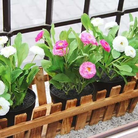 乡村民宿 巴尔德丰特斯奥利瓦尔乡村酒店