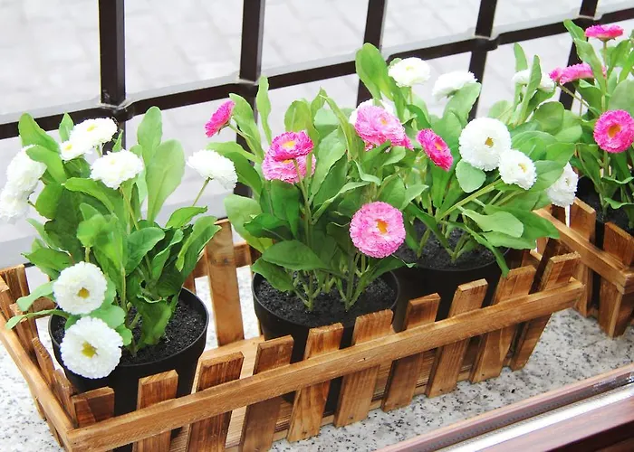 Casa rural El Olivar De